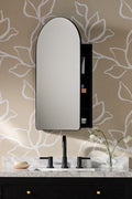 Yrsa Black Arched Mirrored Medicine Cabinet in 001 Black, product view 1
